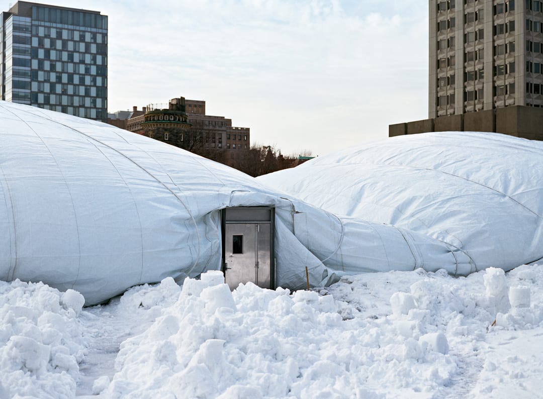 Dome (Varsity arena)