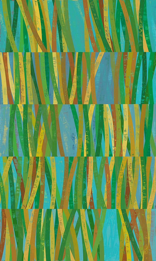 Charlotte Shade Tree