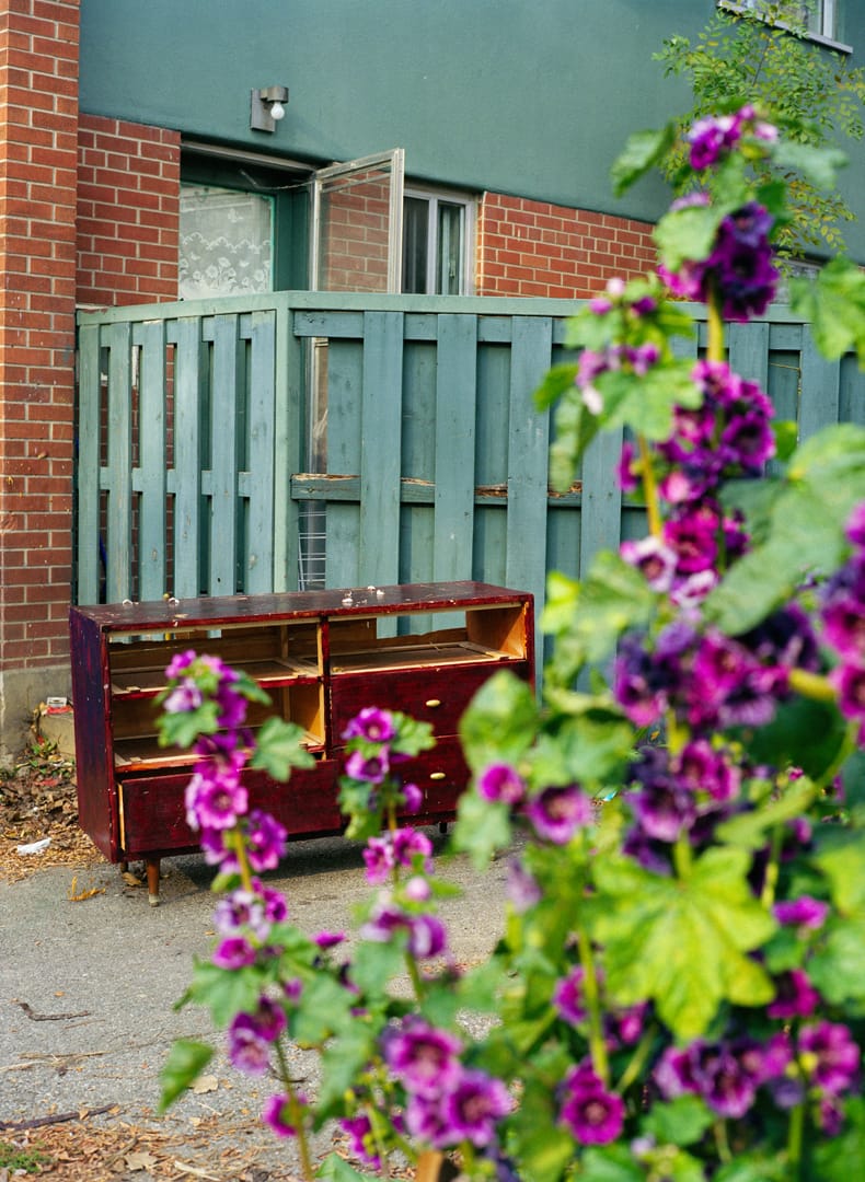 Flowers and Dresser